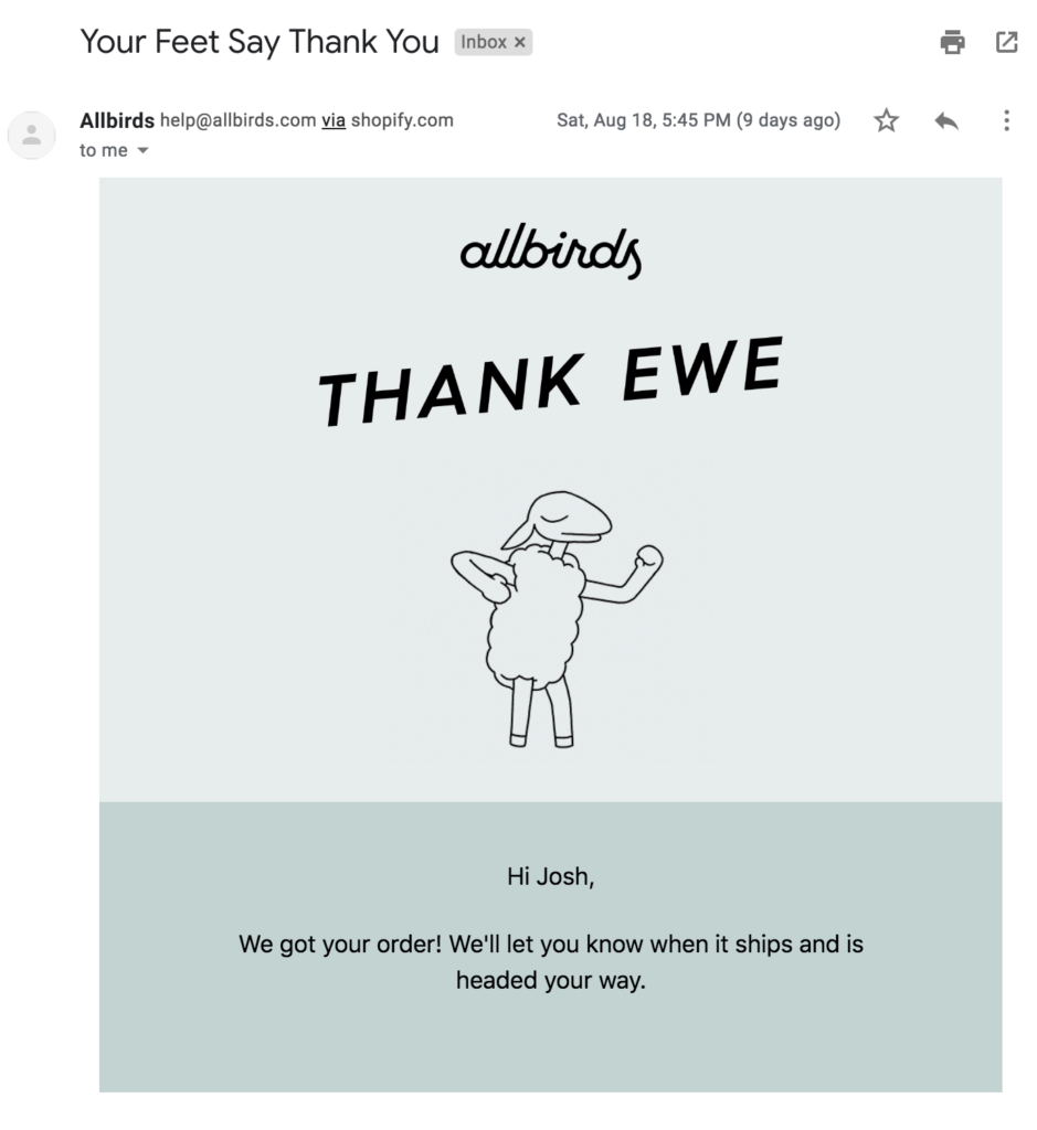 Best Thank You Email Templates And Examples For Ecommerce