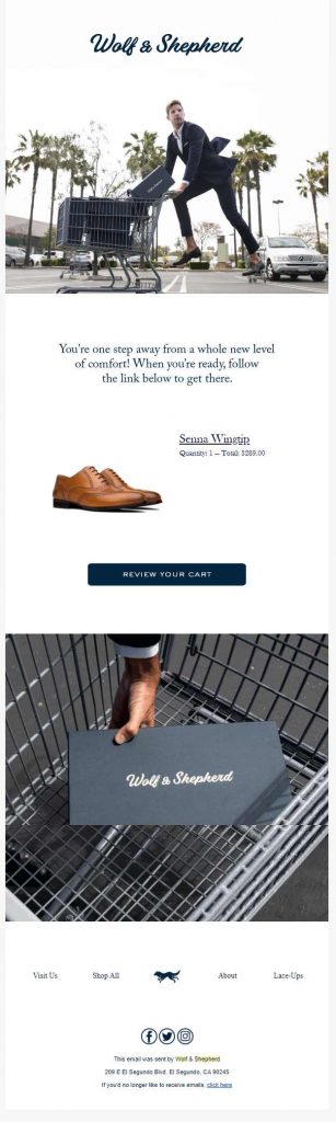 Best abandoned cart email example