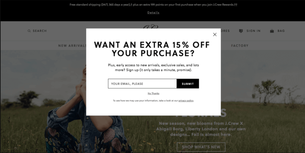 Discount exit intent popup example