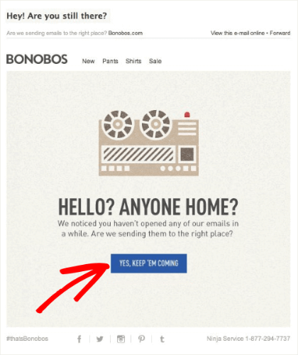 Bonobos email