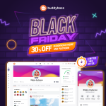 buddyboss theme