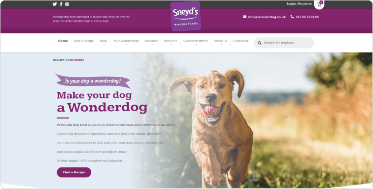 Wonderdog website