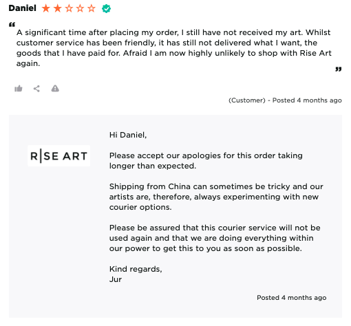  customer review response from Riseart