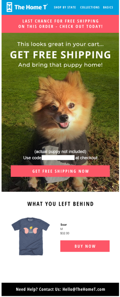 Free Shipping abandoned cart email example from The Home T