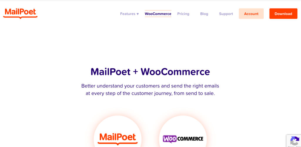 MailPoet
