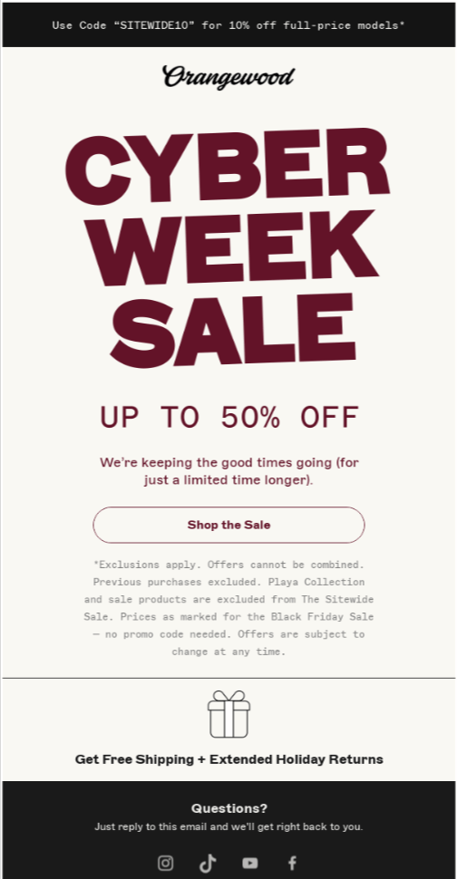 Black Friday email campaign example by Orangewood