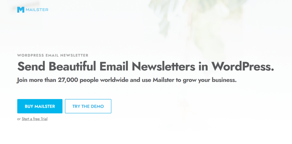 WooCommerce Email Marketing Plugins Mailster