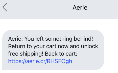 SMS example for abandoned cart recovery