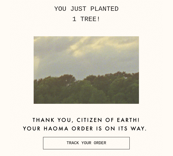 Ecoconscious Thank you email template