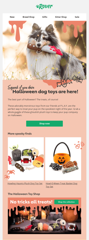 Email design example as a email marketing strategy