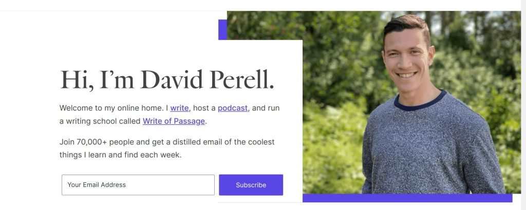 Newsletter signup example by David Perell 