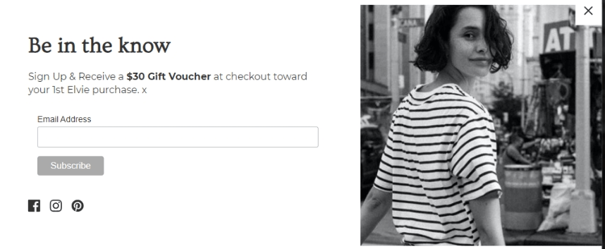 Email newsletter signup form by Elvie and Leo