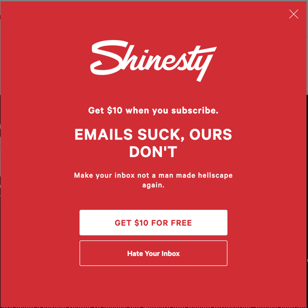 Email newsletter signup example by Shinesty
