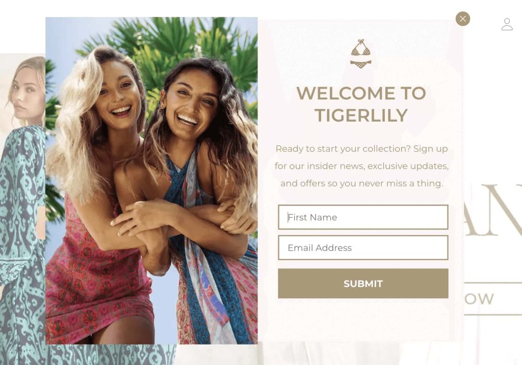 Shopify newsletter signup form example by Tigerlily