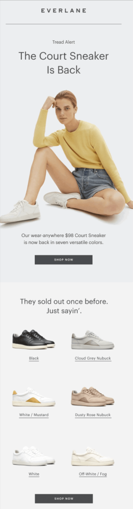 Ecommerce back-in-stock email template