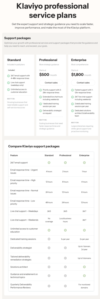 Klaviyo professional services pricing