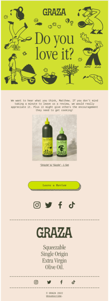 Feedback request Shopify post-purchase email example