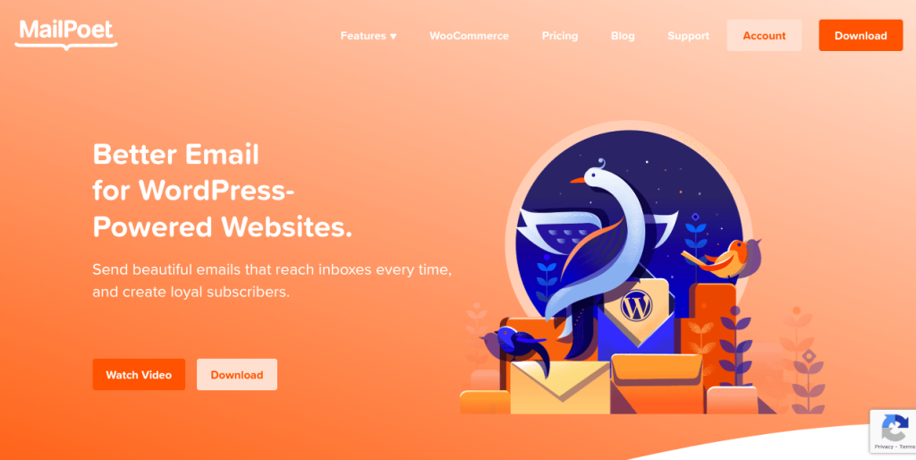 WordPress email customizer plugin - MailPoet