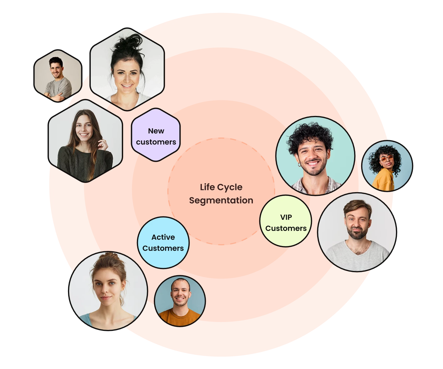 Life Cycle Segmentation