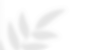 left_leafs