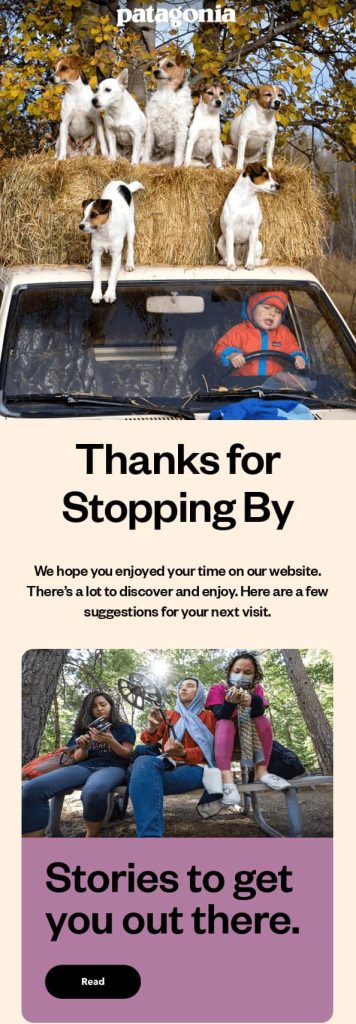 This email example from Patagonia provides a distinct and slightly different approach to browse abandonment, shifting the focus entirely from the product to brand building and content