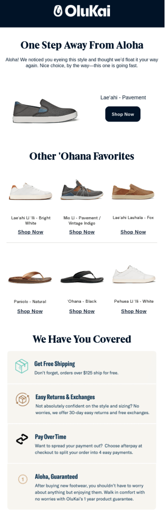 This email from OluKai is a masterclass in combining brand voice, specific product targeting, and robust objection handling, making it a highly effective e-commerce browse abandonment email.