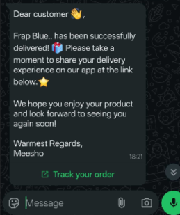 WhatsApp business message from Meesho confirming that the order "Frap Blue..." has been successfully delivered and asks the customer to share their delivery experience via a link.