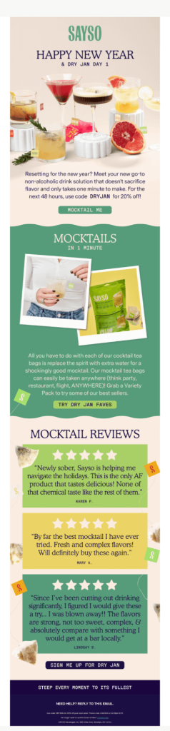 Sayso New year email campaign
