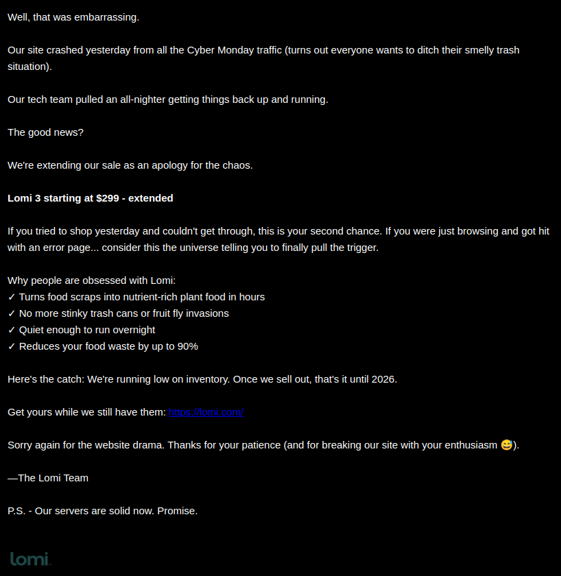 This email from Lomi is a clever, casual, and highly effective apology email to a customer for a website crash due to high Cyber Monday traffic