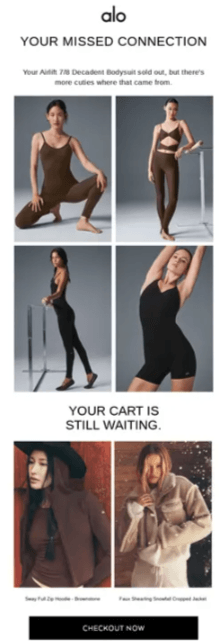 An abandoned cart recovery email from alo featuring a grid of recommended apparel and a prominent CTA designed to bridge the user to a frictionless purchase experience
